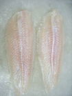 لذيذ السائبة المجمدة الأسماك المجمدة بانغاسيوس فيليه / باسا السمك من فيتنام