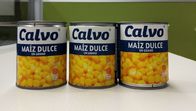 Calvo العلامة التجارية المعلبة الذرة الحلوة Maiz Dulze الوزن الصافي 241g لأمريكا الوسطى