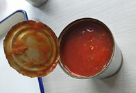 425 جرام سمك ماكريل باسيفيك مع صلصة الطماطم 3-5 قطع