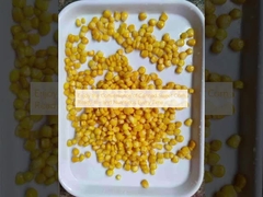 استمتع بسهولة الذرة الحلوة المعلبة الجاهزة والمغذية في كل مرة