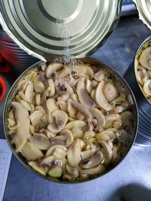 النكهة الأصلية المعلبة فطر شامبينون بارد وجاف التخزين PH 4.5-6.5