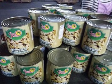 المعلبة الفطر كله في علب 24 * 425ml / نو.  425g دو.  200g 180g أو حجم كبير