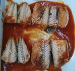 تسمية خاصة الأطلسي سمك الماكريل الأسماك المعلبة في صلصة الطماطم دون الفلفل الحار