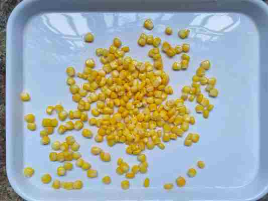 340 جرام نواة الذرة الحلوة المعلبة الطازجة الصين الذرة الحلوة الكاملة