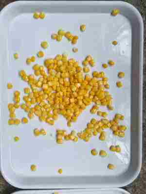 الجزء الذرة الحلوة النواة الذرة الحلوة المعلبة تحميل المواد الحساسة قد تحتوي على آثار من فول الصويا والقمح