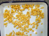 إدارة الأغذية والعقاقير (GMO) زراعة 425 جرام من حبات الذرة الحلوة المعلبة