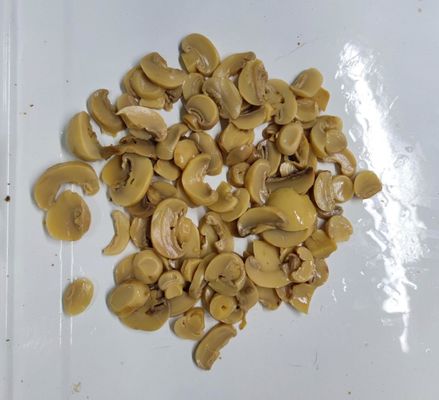 فطر شامبينيون معلب جاهز للأكل طازج ولذيذ