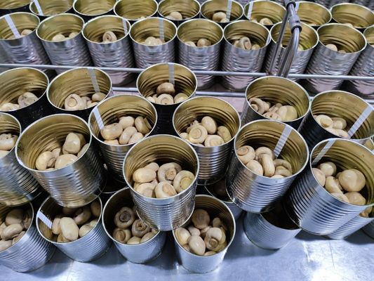 400 جم / 425 جم فطر كامل معلب فطر صيني معلب