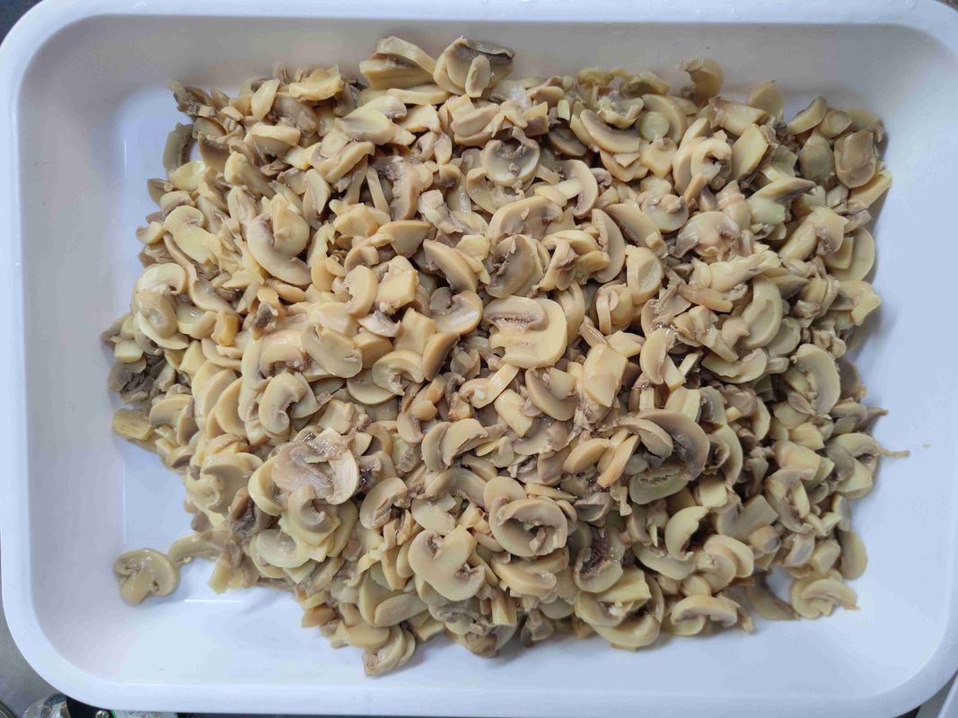 فطر محفوظ متوسط ​​معلب للخضروات تغليف بالجملة مناسب لخدمات الطعام والمطاعم والمحترفين في الطهي