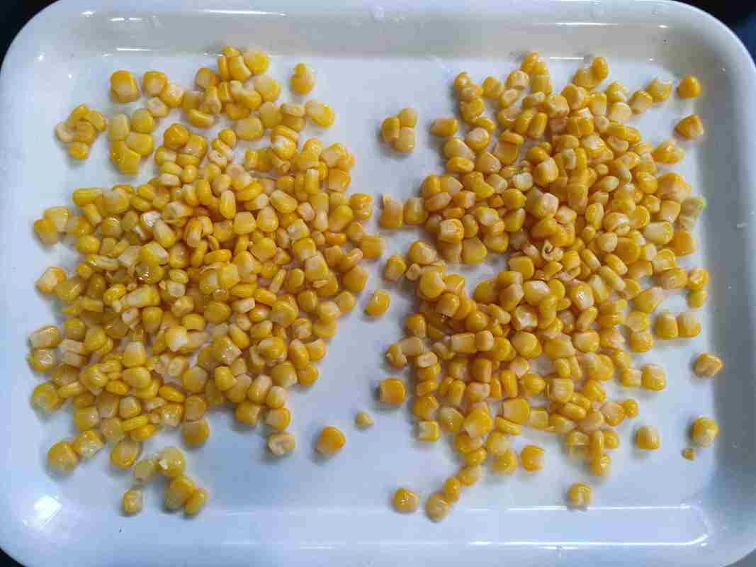 ذرة طازجة ذرة معلبة حلوة للفواكه والفطر