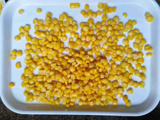 مادة الذرة الطازجة ذرة حلوة معلبة 425 جرام × 24 مخزنة في بيئة باردة مثالية لتجهيز الأغذية