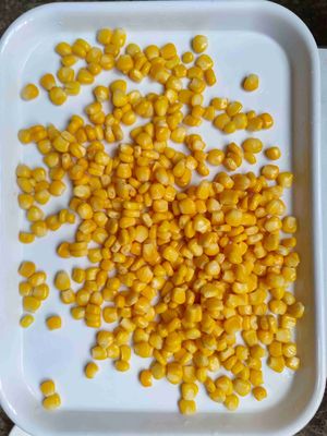 ذرة حلوة معلبة عالية الجودة مع مدة صلاحية سنتين و 1080 كرتونة لكل 20 قدمًا مكعبة