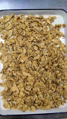 قطع وجذوع فطر معلبة طازجة مع ملح طبيعي